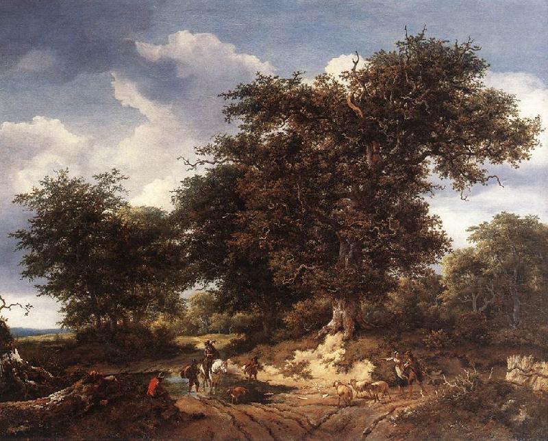 RUISDAEL, Jacob Isaackszon van The Great Oak af oil painting image